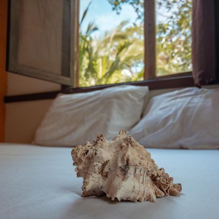 Uvita River Guesthouse Luaran gambar